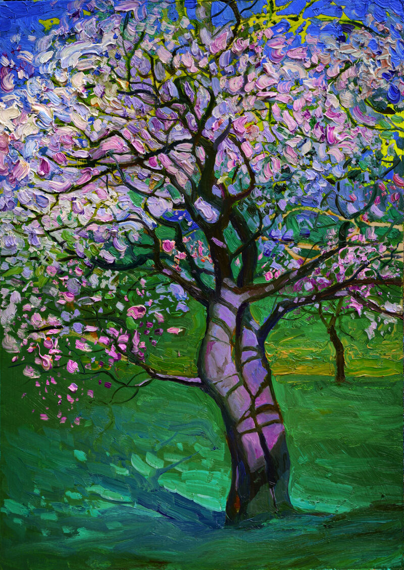 Blossoms of Spring#4