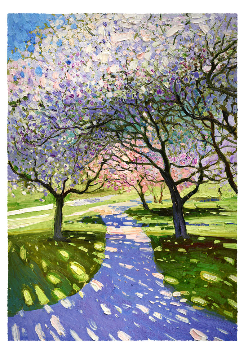 Blossoms of Spring #3 / Print