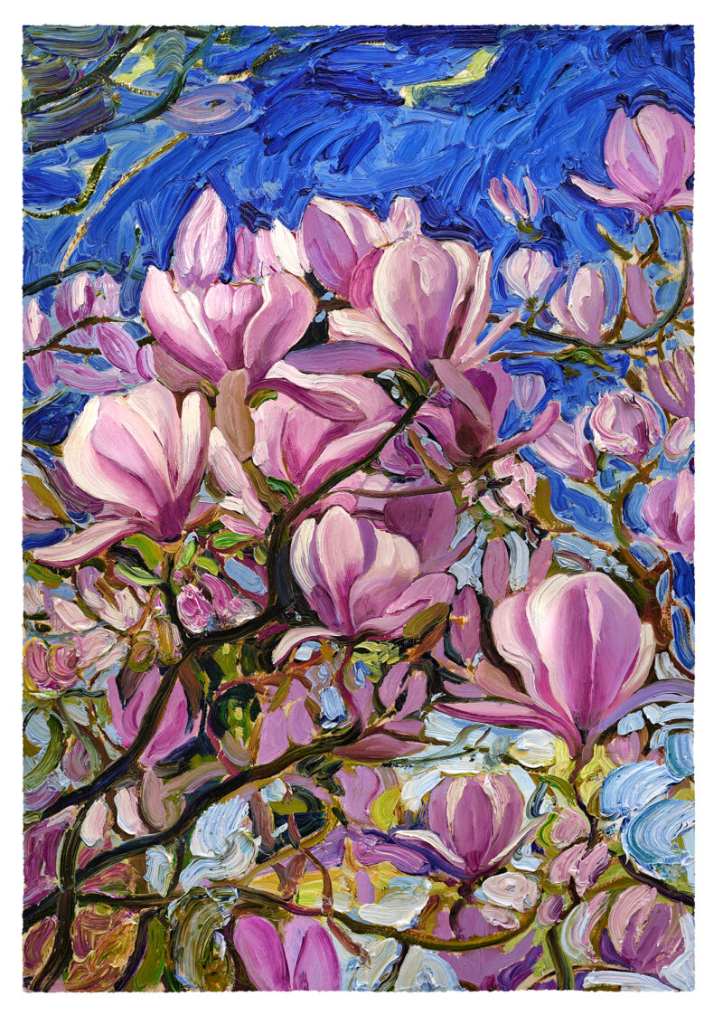 Magnolia / Print