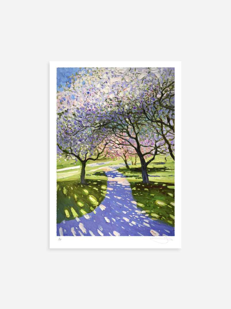 Blossoms of Spring #3