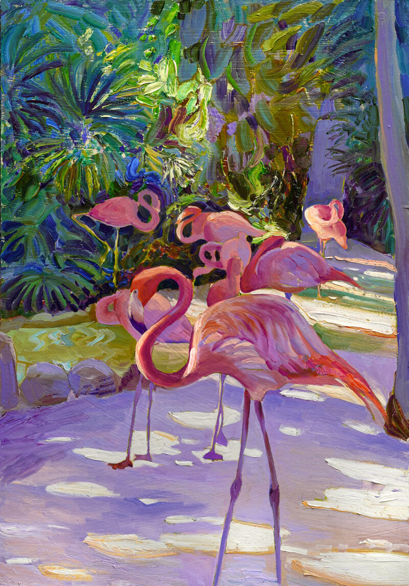 The Garden of Flamingos