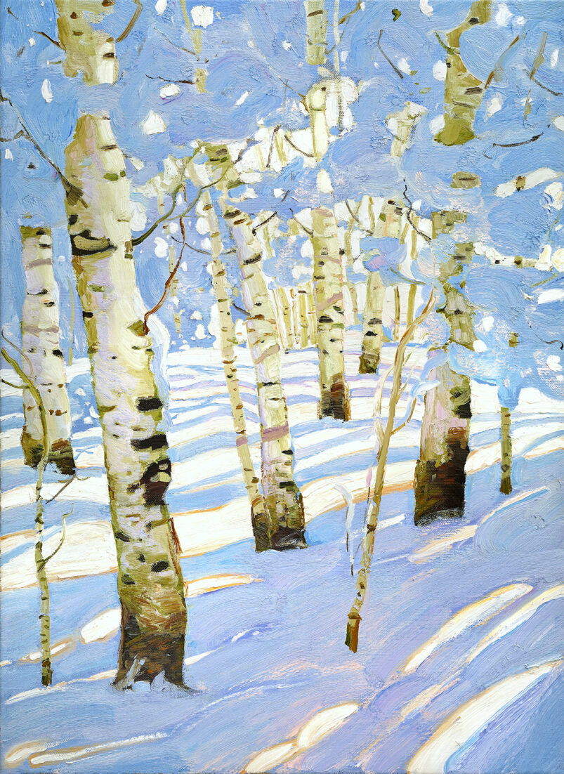 Silver Birch Winter