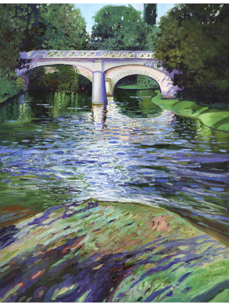 Summer Reflections