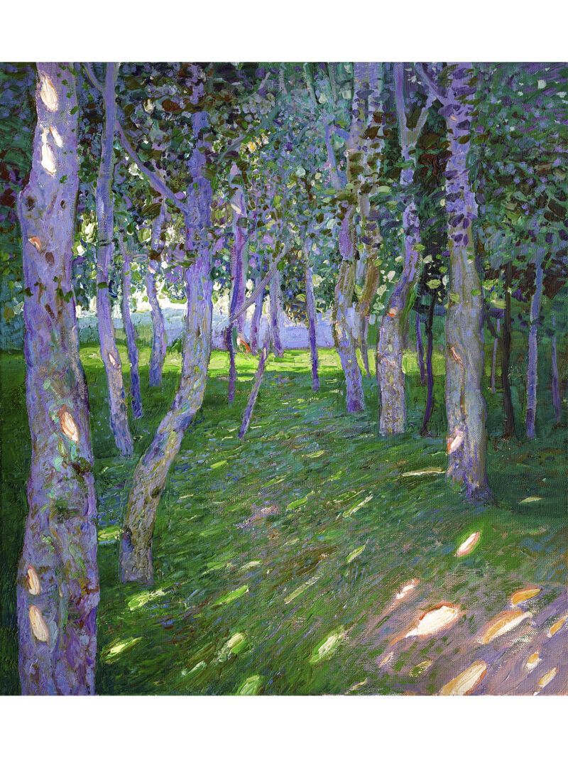 Trees in Summer